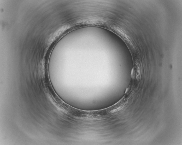 X0000087750678200705211038