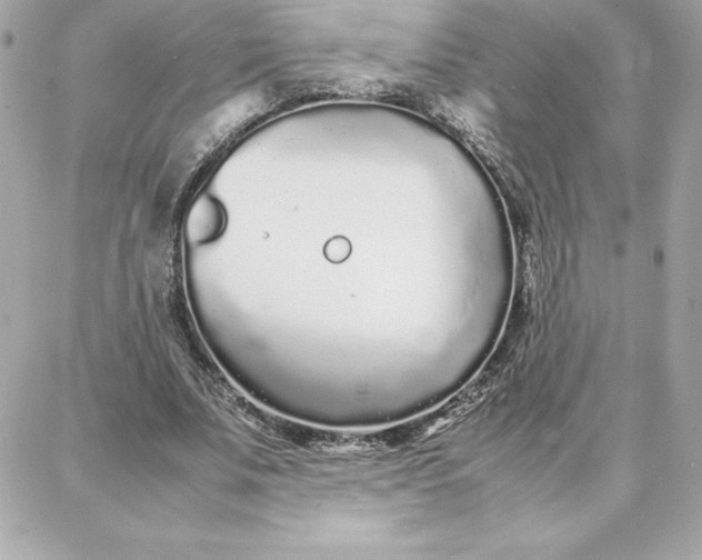 X0000087750679200705211038