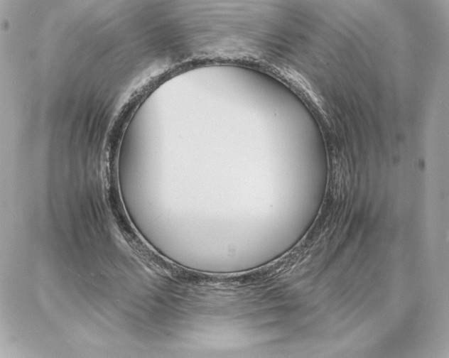 X0000087750680200705211038