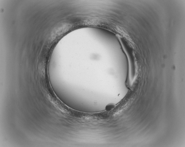 X0000087750681200705211038