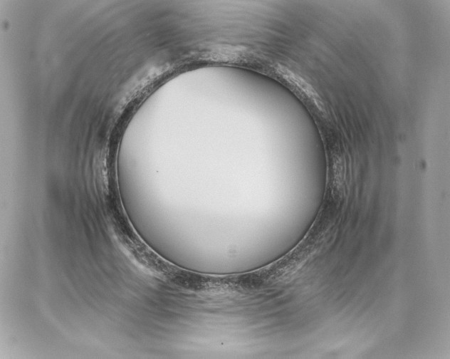 X0000087750682200705211038