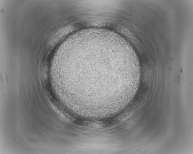 X0000087750683200705211038