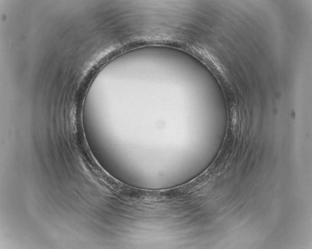 X0000087750684200705211038