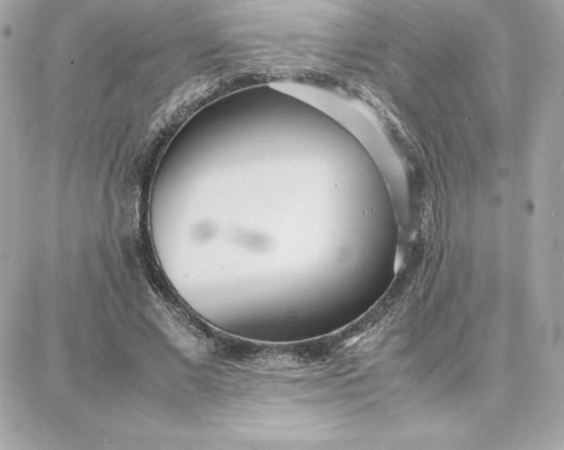 X0000087750685200705211038