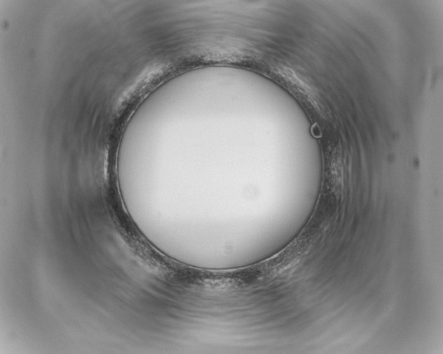 X0000087750686200705211038