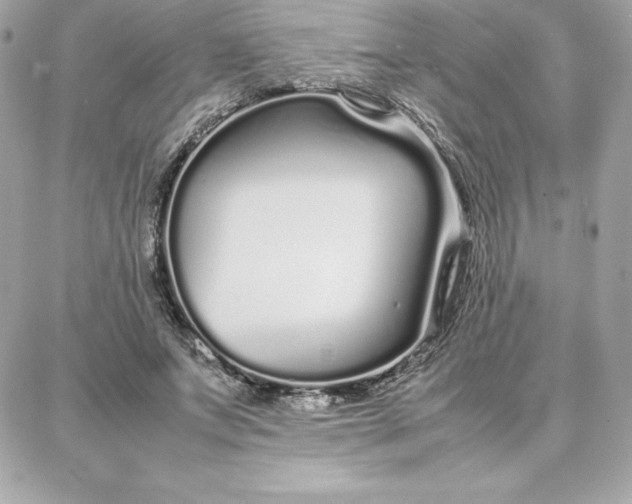 X0000087750687200705211038