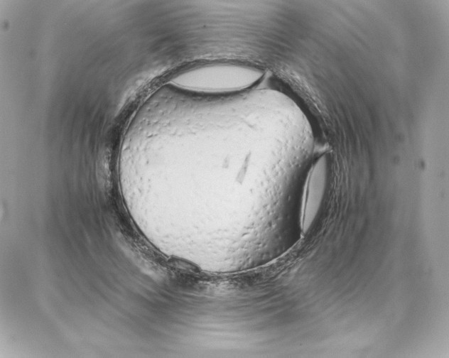 X0000087750688200705211038