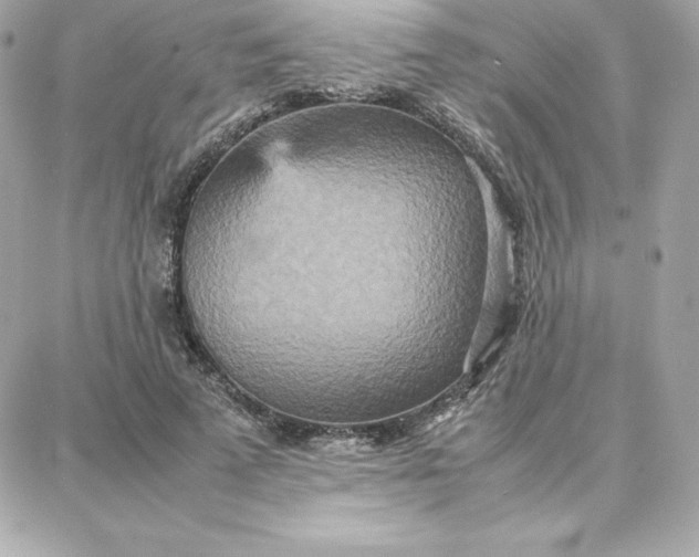 X0000087750689200705211038