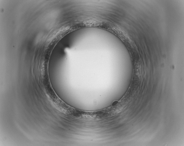 X0000087750690200705211038