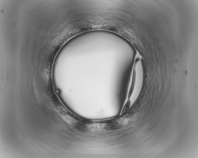 X0000087750691200705211038