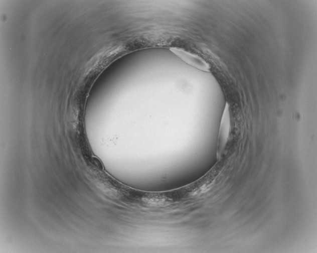 X0000087750693200705211037