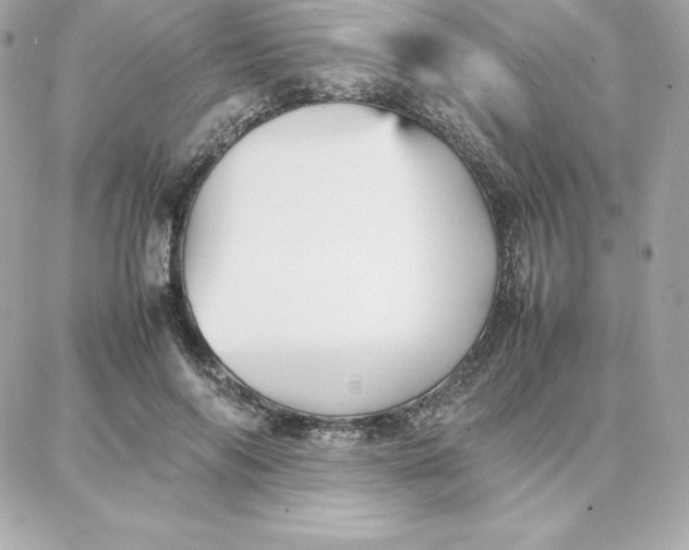 X0000087750694200705211037