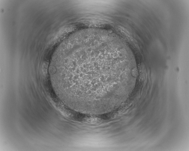 X0000087750695200705211037