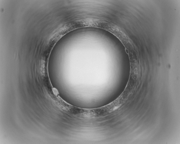 X0000087750696200705211037