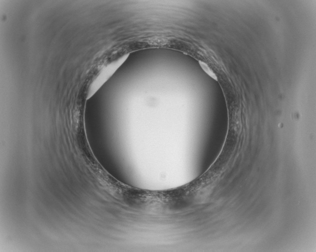 X0000087750697200705211037