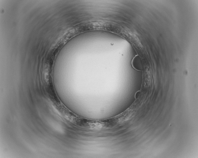 X0000087750698200705211037