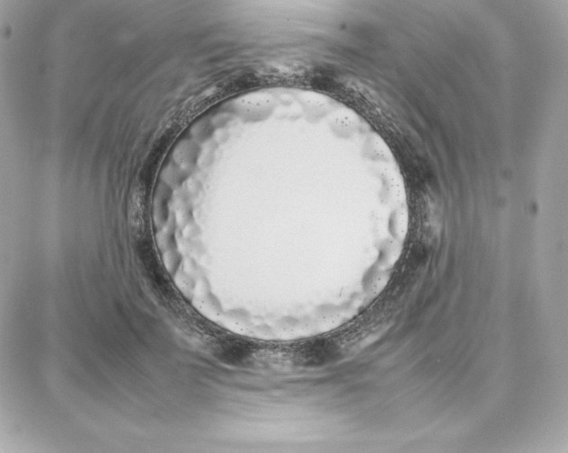 X0000087750699200705211037