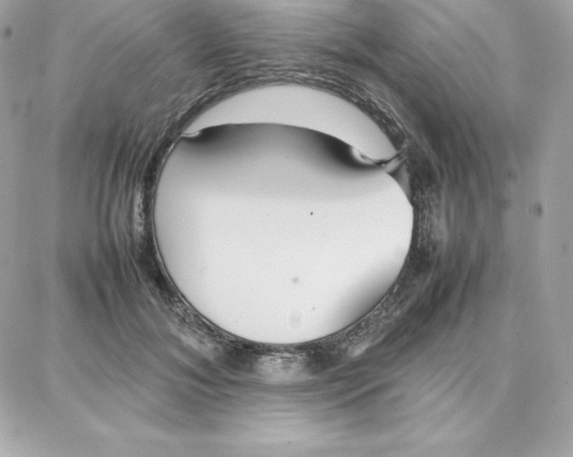 X0000087750700200705211037