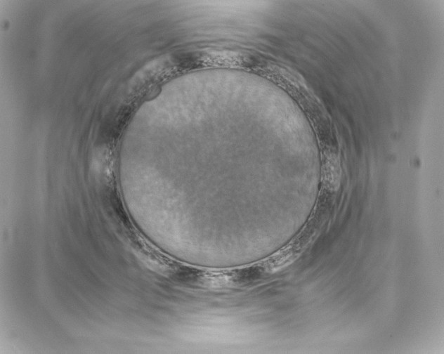 X0000087750701200705211037