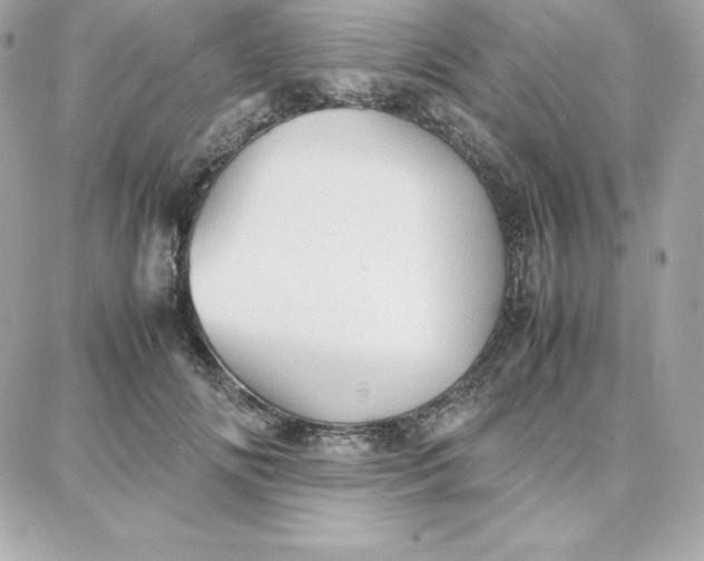 X0000087750702200705211037