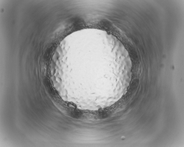 X0000087750703200705211037