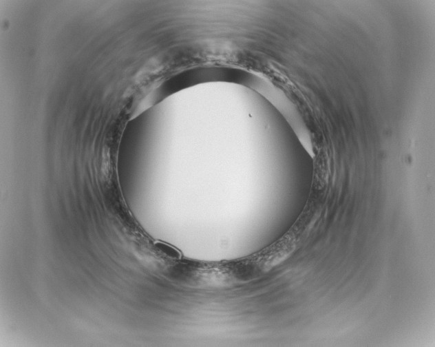 X0000087750704200705211037