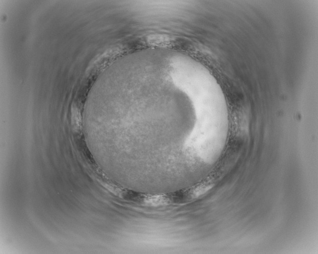 X0000087750705200705211037