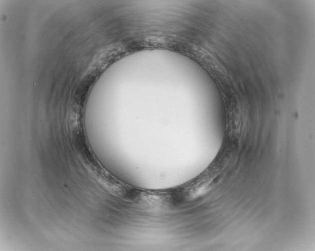 X0000087750706200705211037