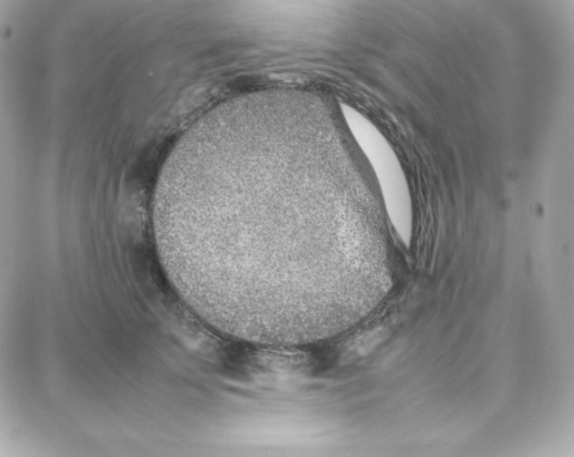 X0000087750707200705211037