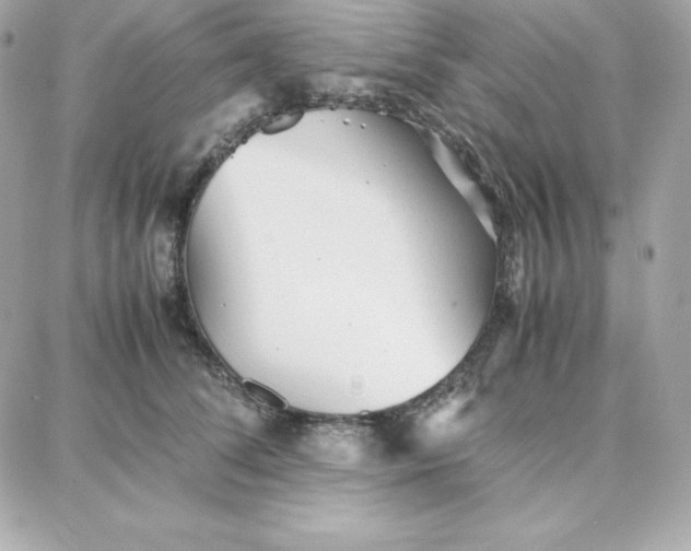 X0000087750708200705211037