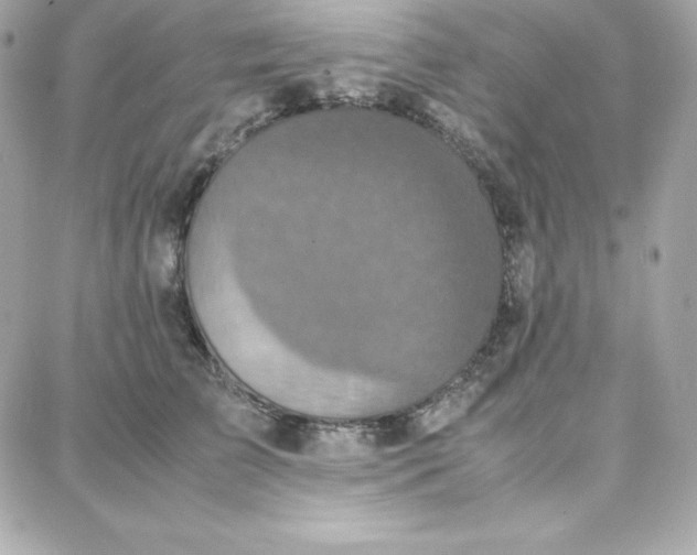 X0000087750709200705211037