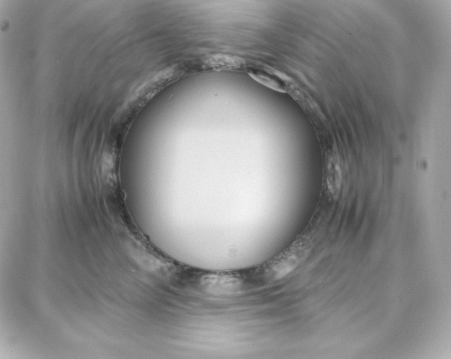 X0000087750714200705211037