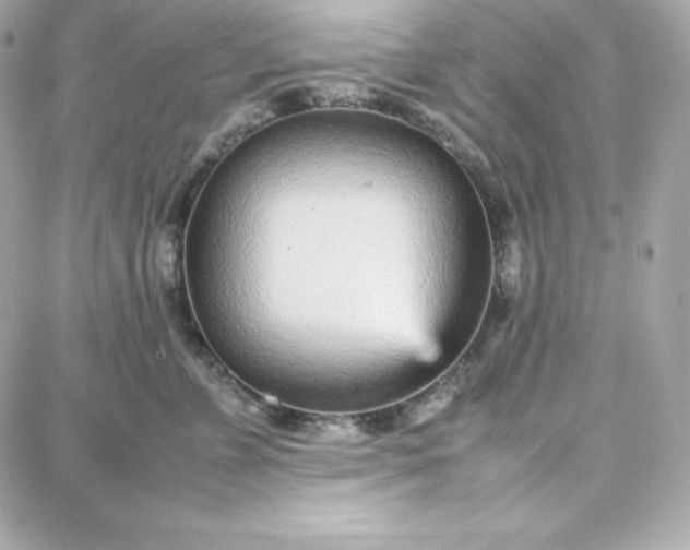 X0000087750715200705211037