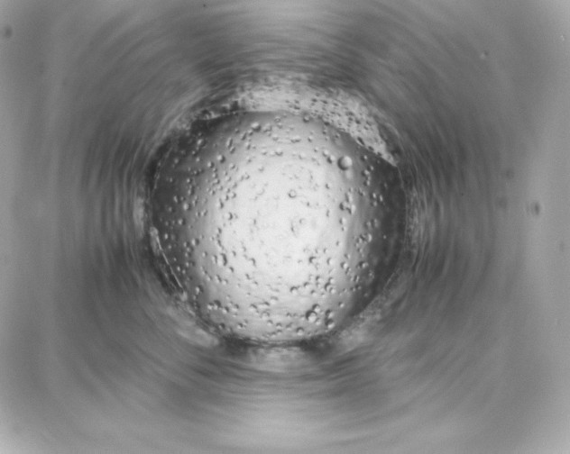 X0000087750716200705211037