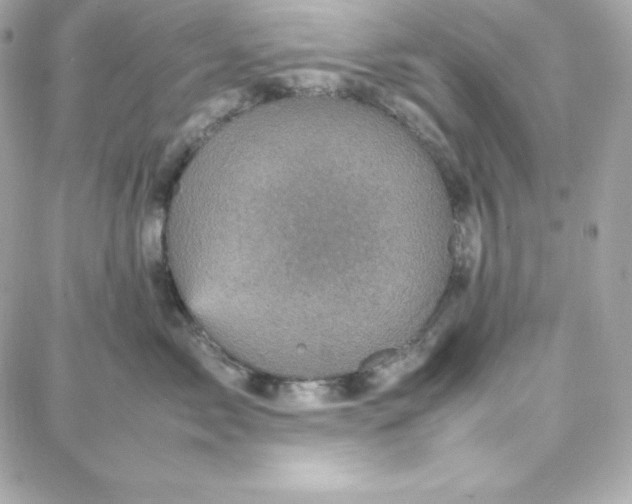 X0000087750717200705211037