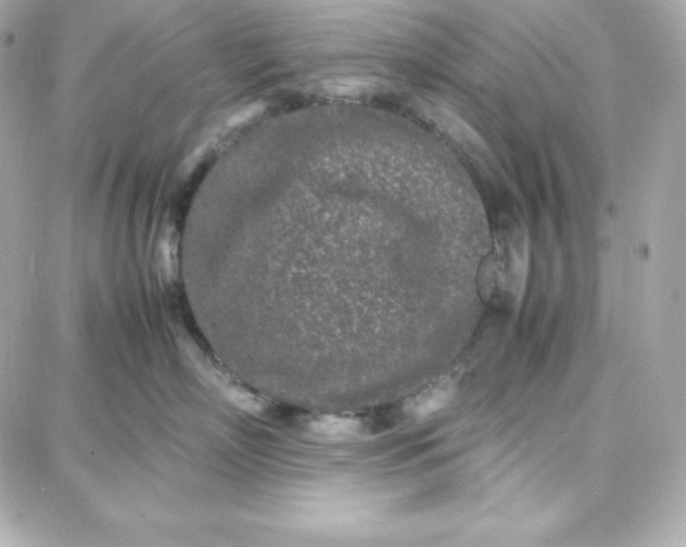 X0000087750718200705211037