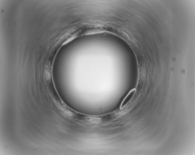 X0000087750719200705211037