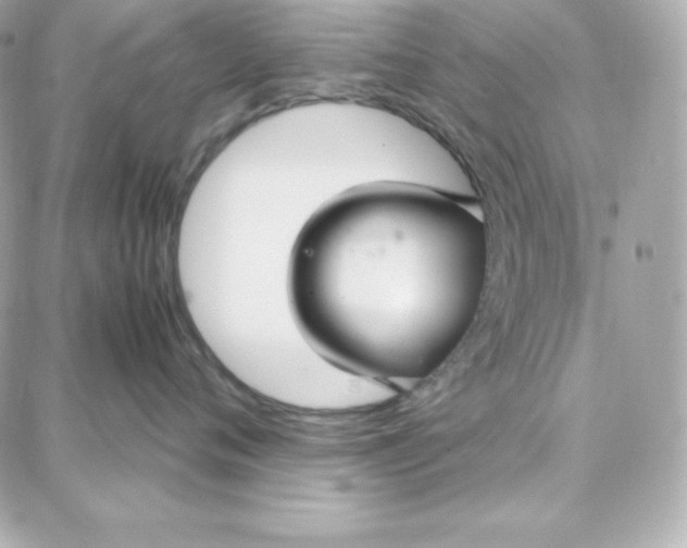 X0000087750720200705211037