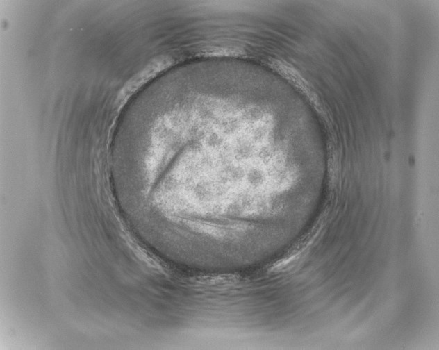 X0000087750721200705211036