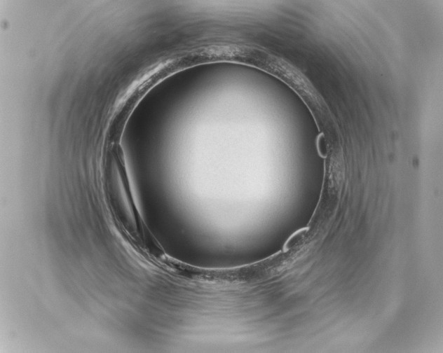 X0000087750722200705211036