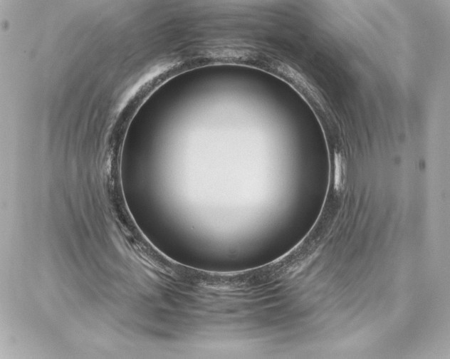 X0000087750723200705211036