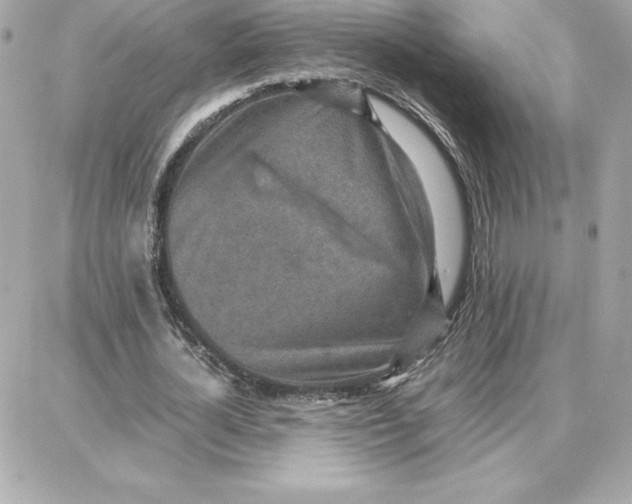 X0000087750724200705211036