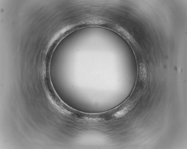 X0000087750726200705211036