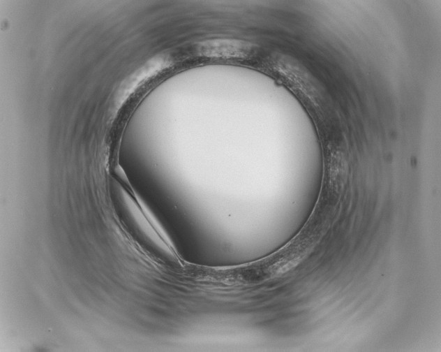 X0000087750727200705211036