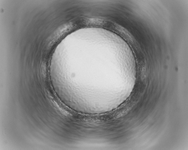 X0000087750729200705211036