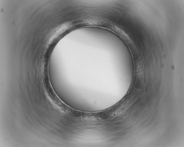 X0000087750730200705211036