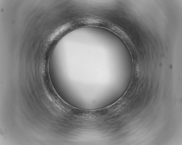 X0000087750732200705211036