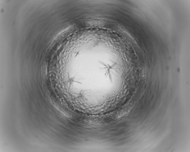 X0000087750733200705211036