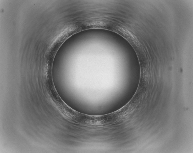 X0000087750735200705211037