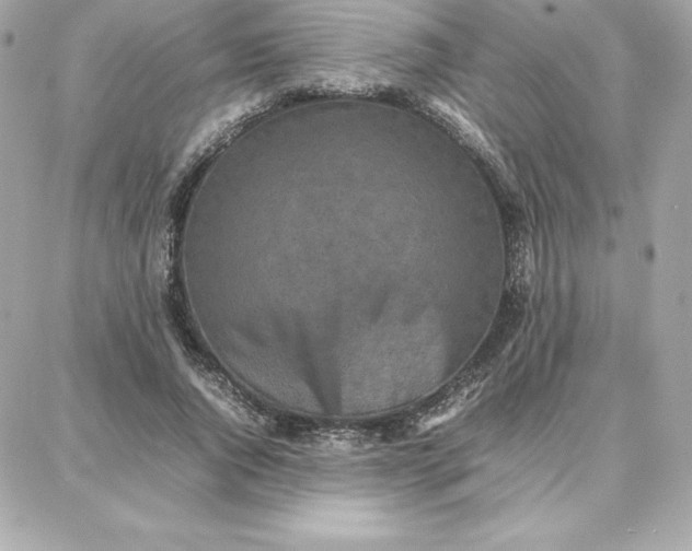 X0000087750736200705211037